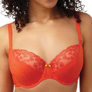 Panache UK 32FF Kali